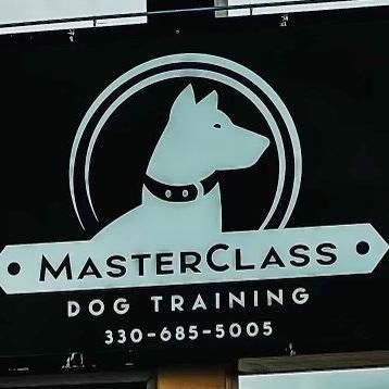 Avatar for MasterClass Dog Training