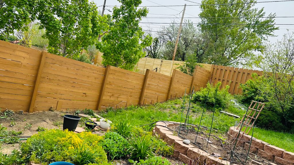 Fence Painting