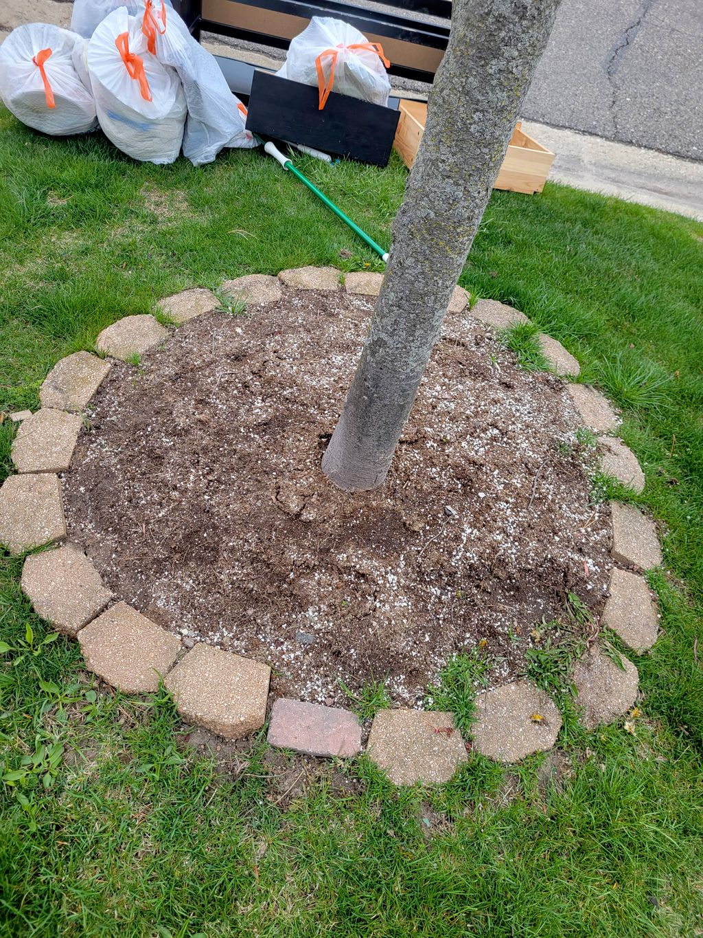 BEFORE : (border stones sunken in ground)