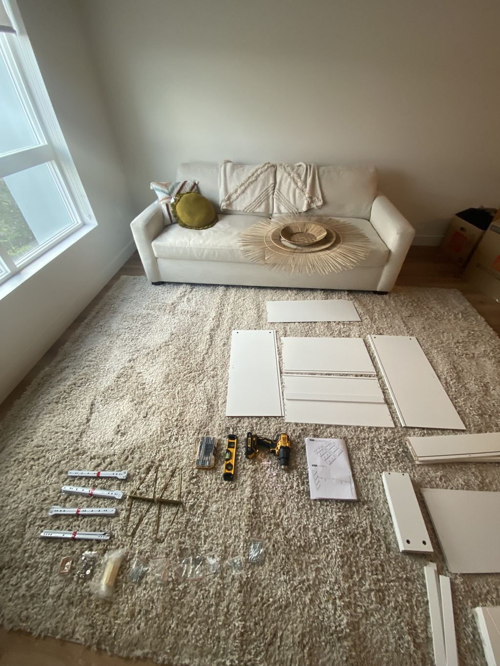 Couch, Rug, and Dresser