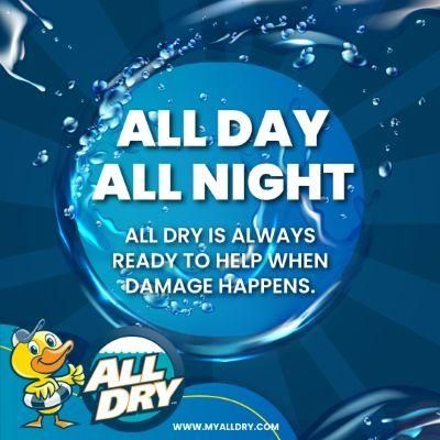 All Dry Services of East Richmond