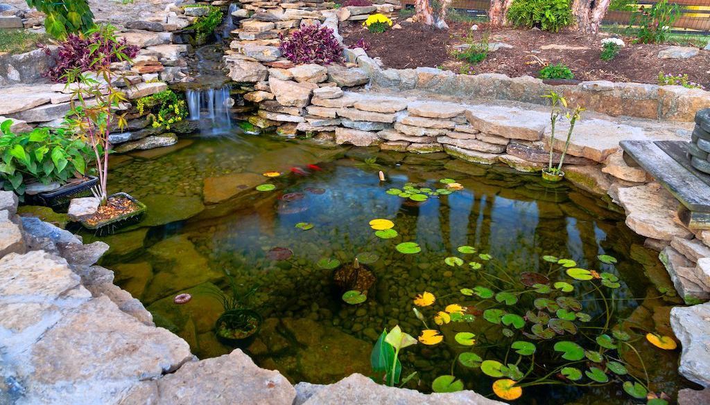 backyard landscaping water feature pond