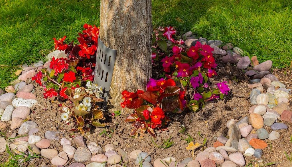 flower bed around tree in yard