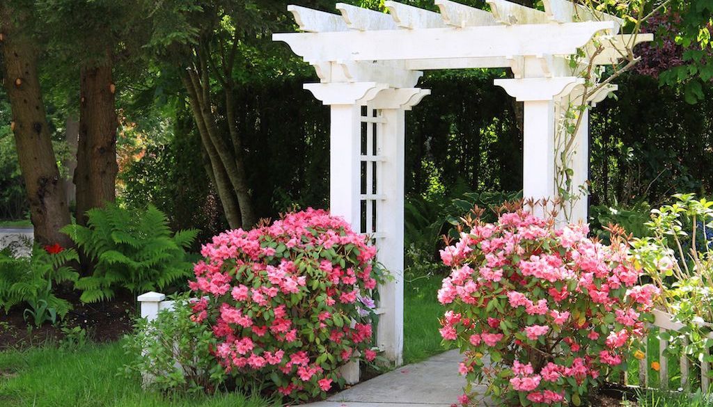 white arbor in backyard