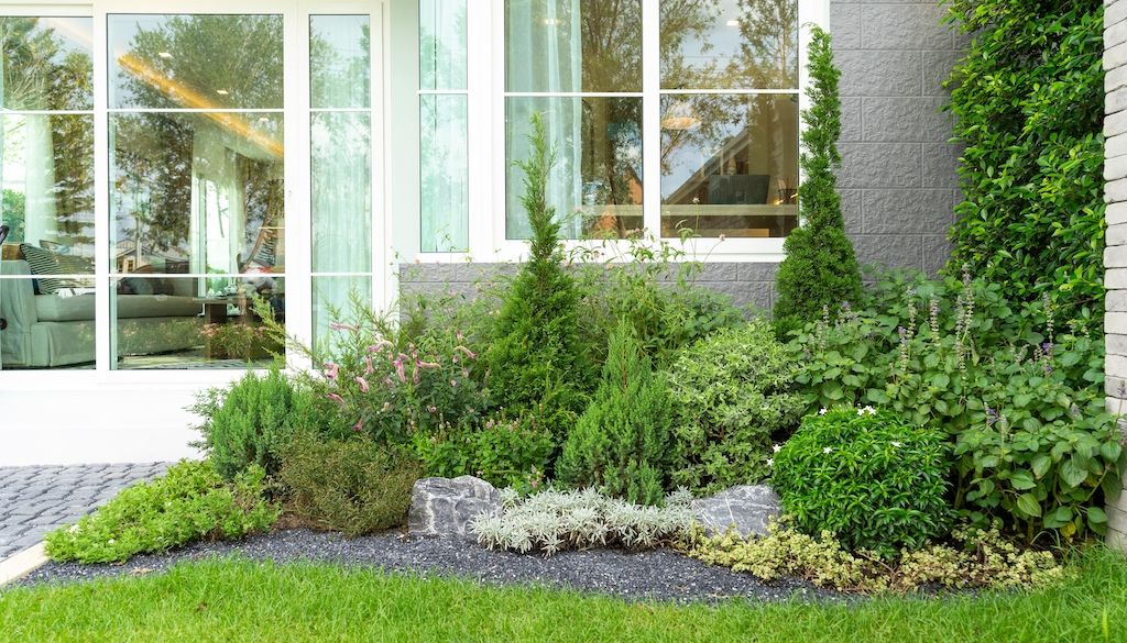 plants in front of house