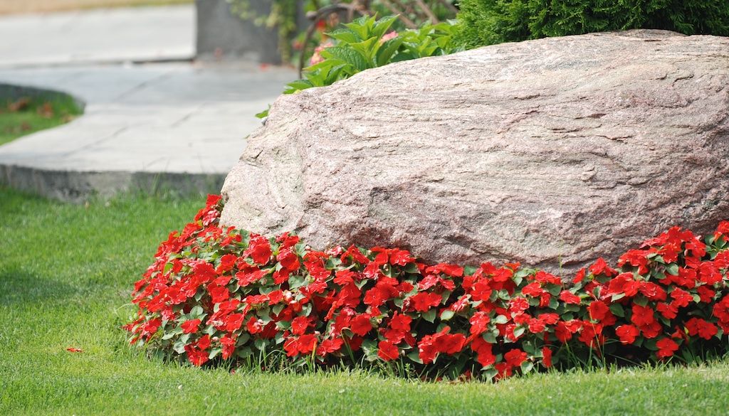 landscape rock with flowers in front yard