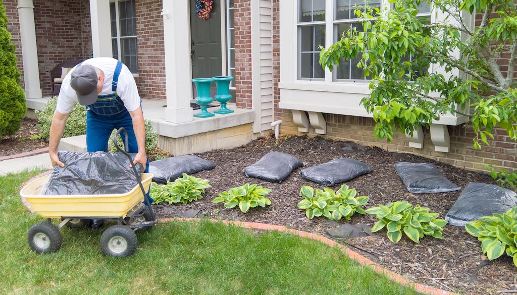 man adding mulch to front yard