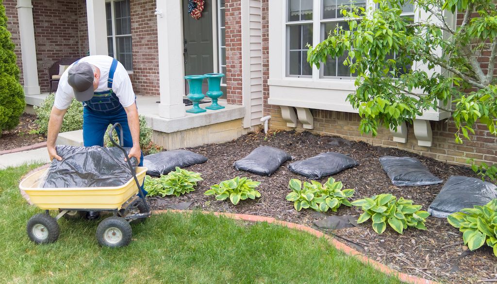 Cheap landscaping ideas online