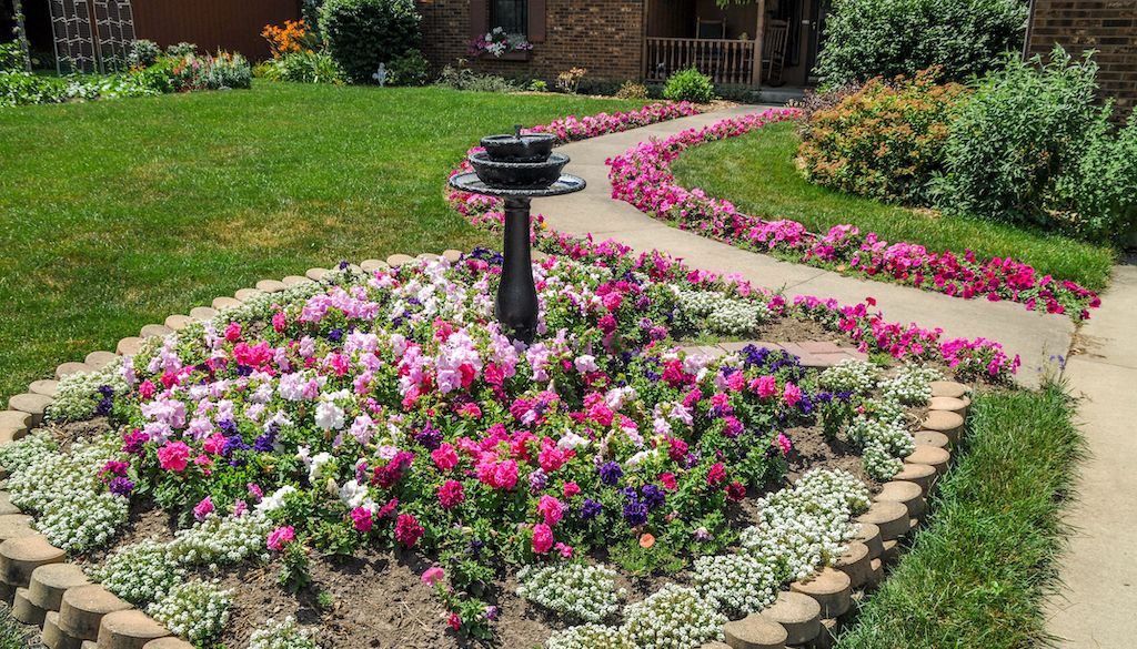 bird bath in front yard garden