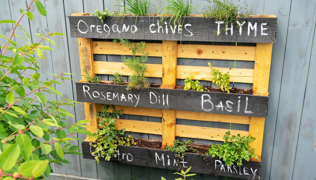 vertical garden on backyard wall or fence