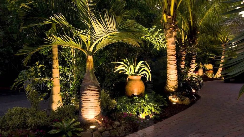 outdoor lighting shining on plants
