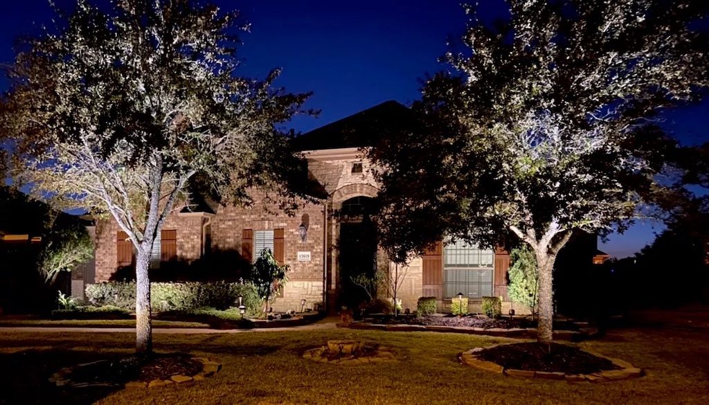 uplighting trees in front yard