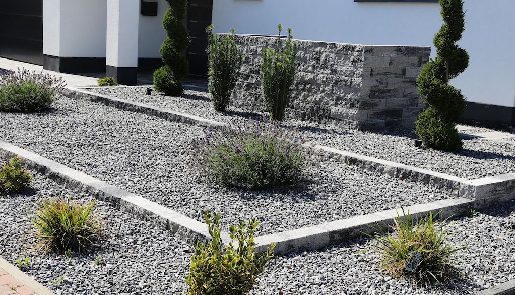rock garden with gray rocks and green plants in front of house
