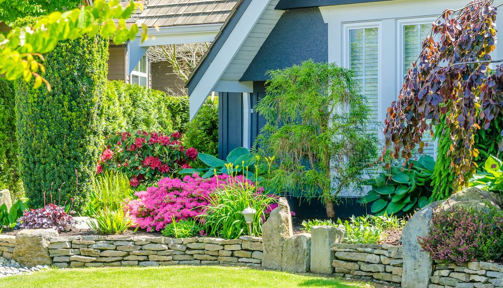 plants of various colors, textures and heights in front yard