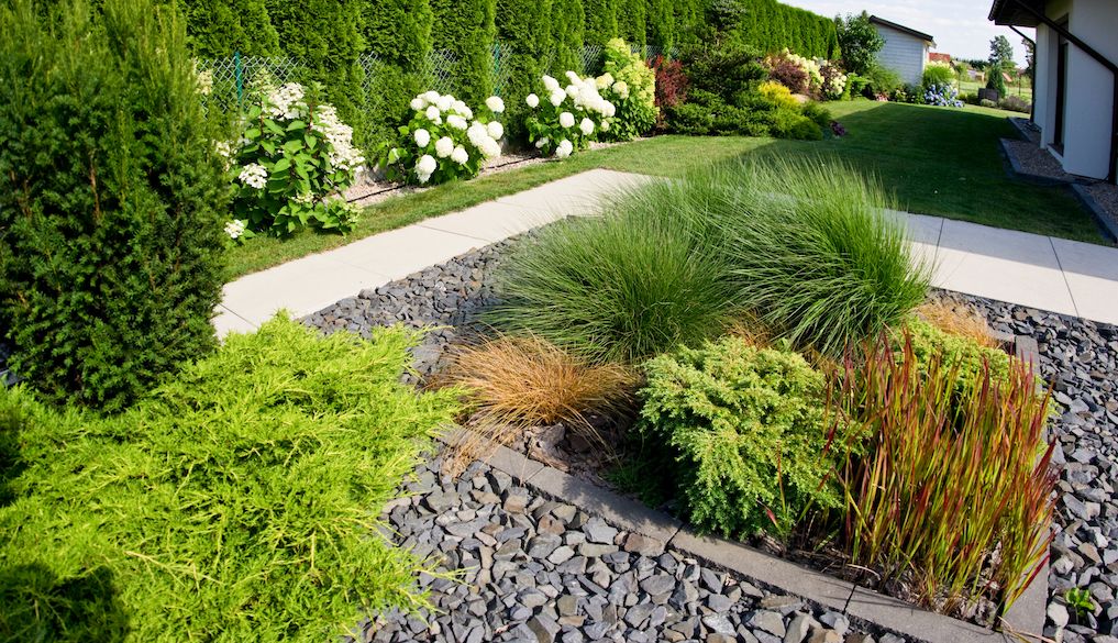 grass garden bed in front yard of house