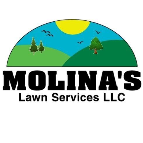 Molina's Lawn Services LLC