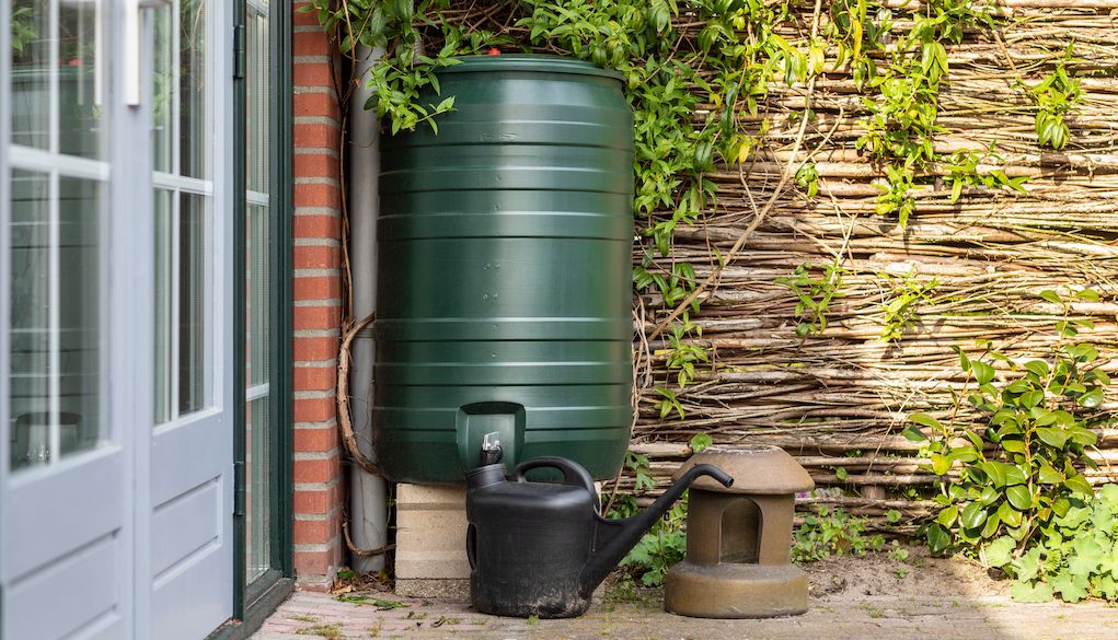 rain barrel in backyard