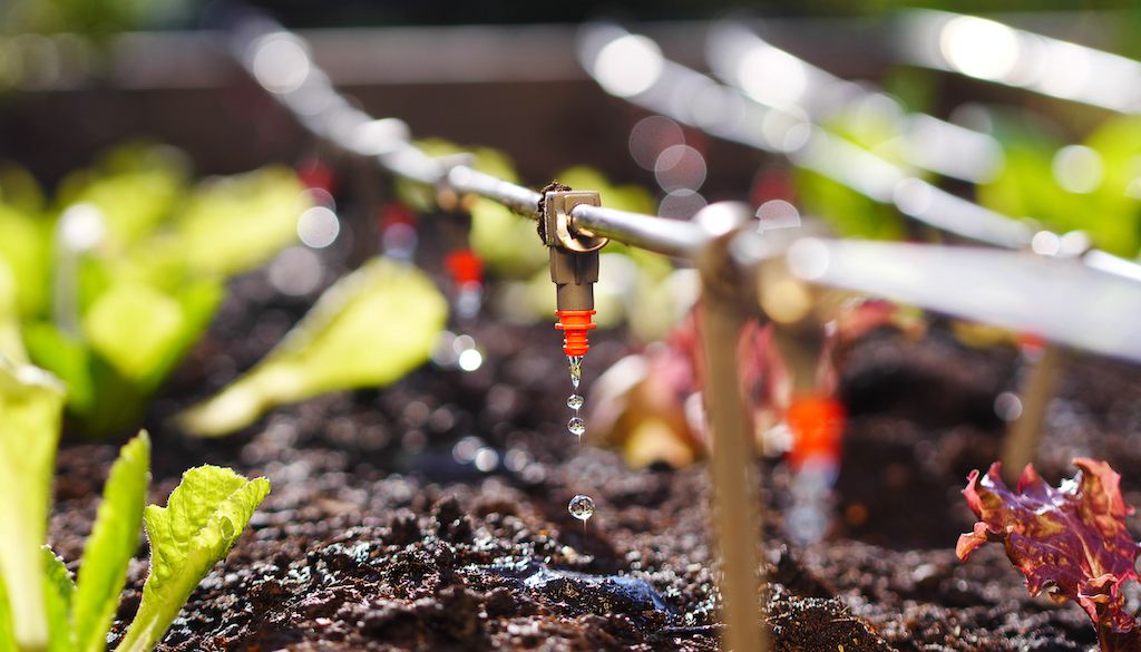 drip irrigation system on raised garden bed