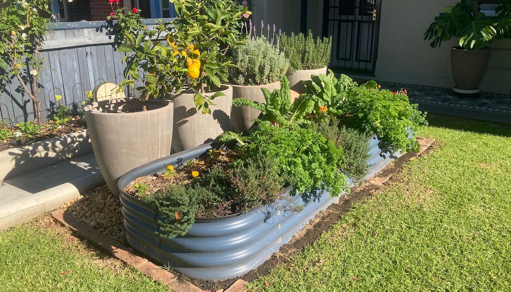 container garden in yard