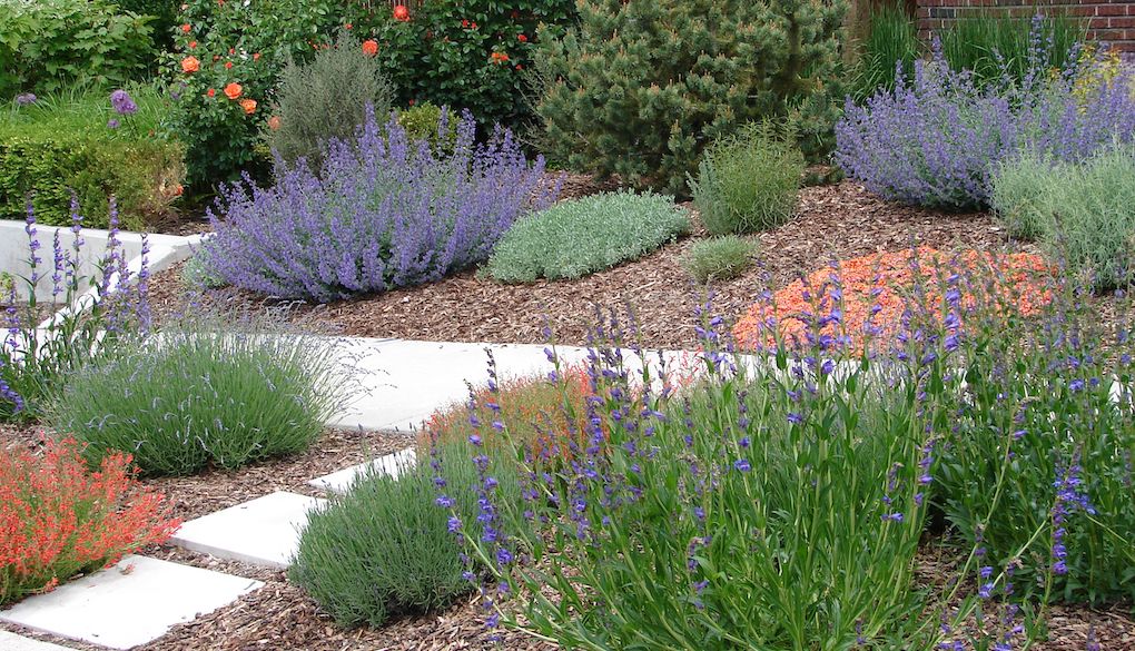 xeriscape garden design in front yard landscaping