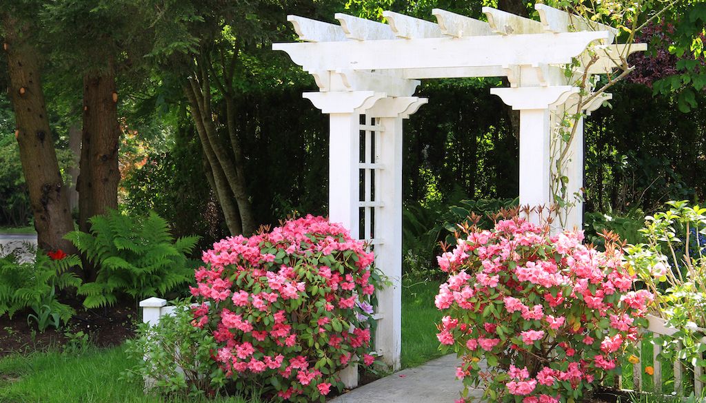 white arbor with flowers in yard