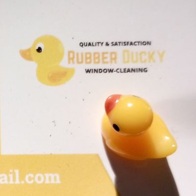 Avatar for Rubber Ducky Window Cleaning