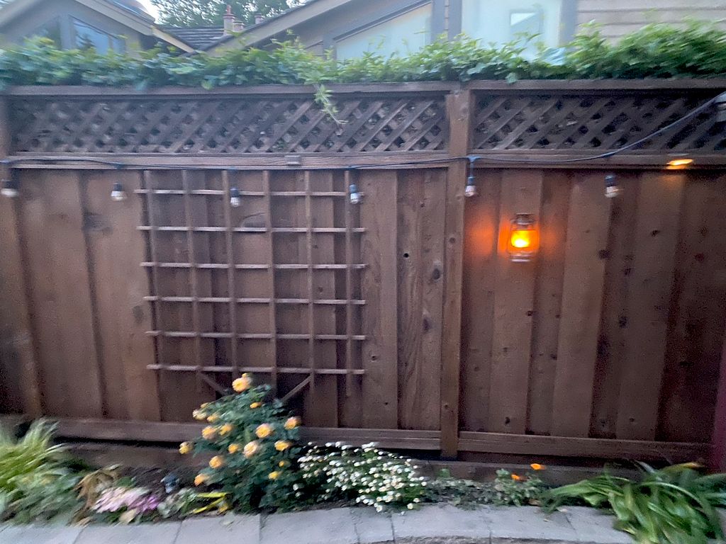 Customer photos