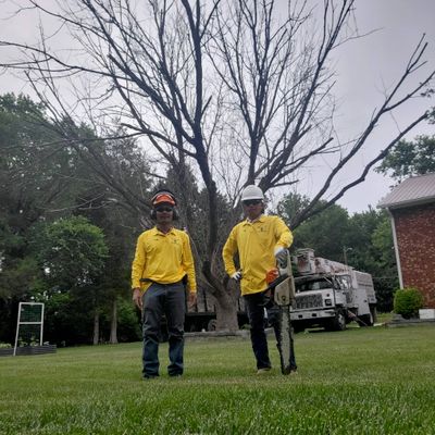 Avatar for KL Tree Services