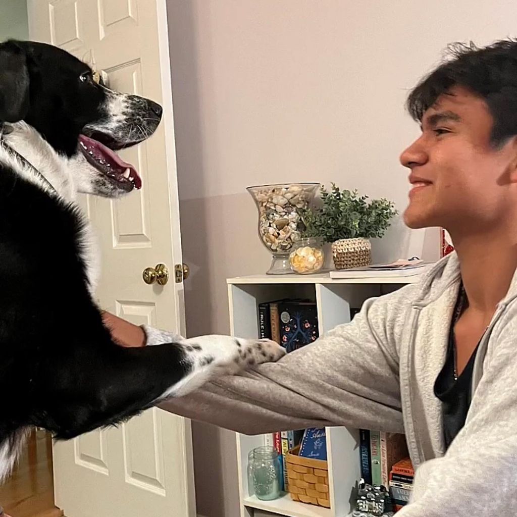 Carlos pet care
