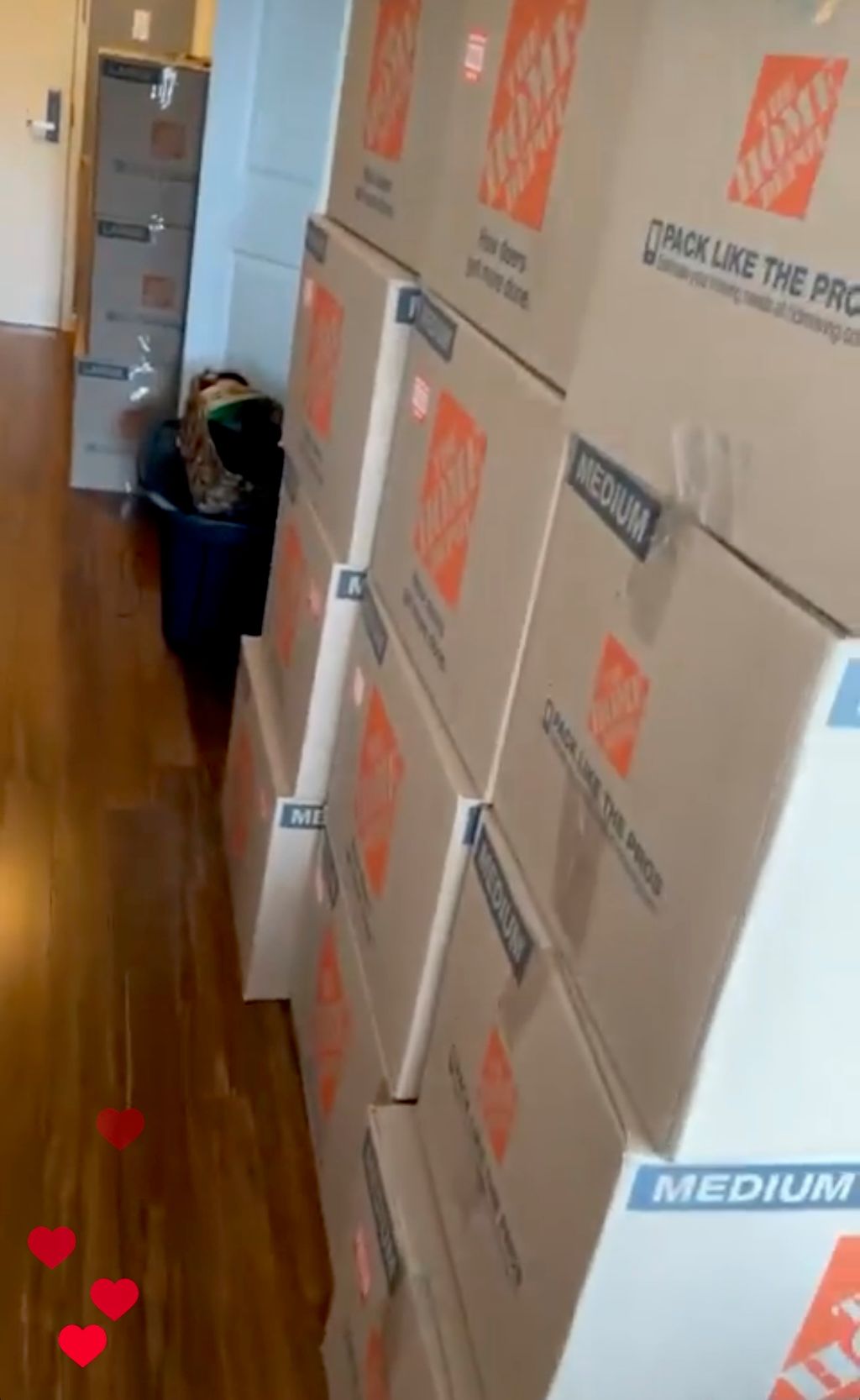 Packing your belongings the Prissy Way..