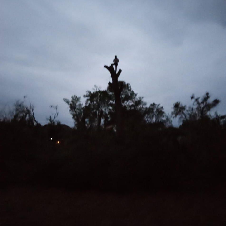 CF Prestige Tree Services