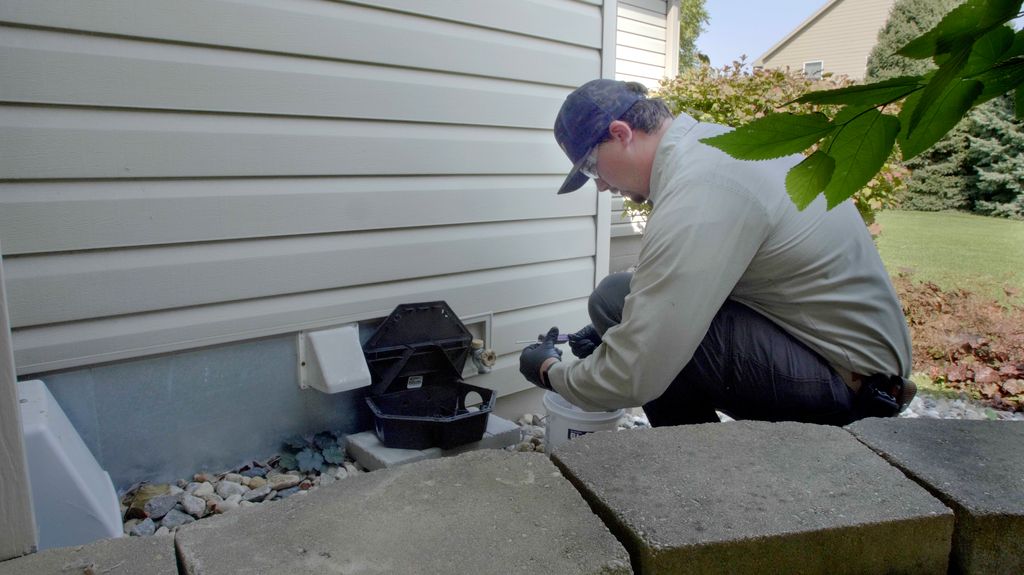 Voles, Mice, Moles? We got your covered!