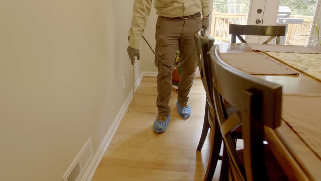 You will love our ORGANIC interior treatments! MMM