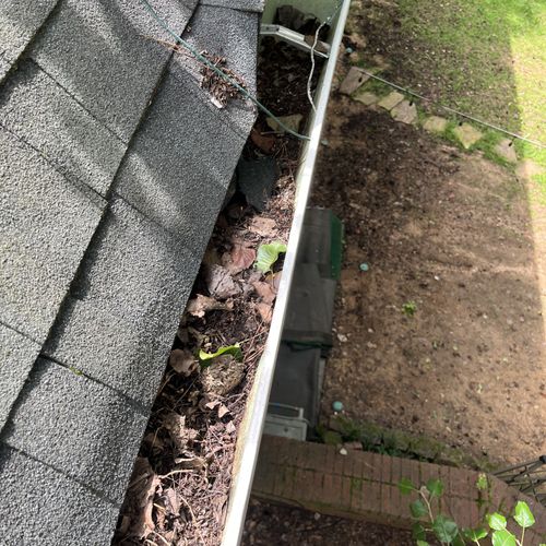 Gutter Cleaning and Maintenance