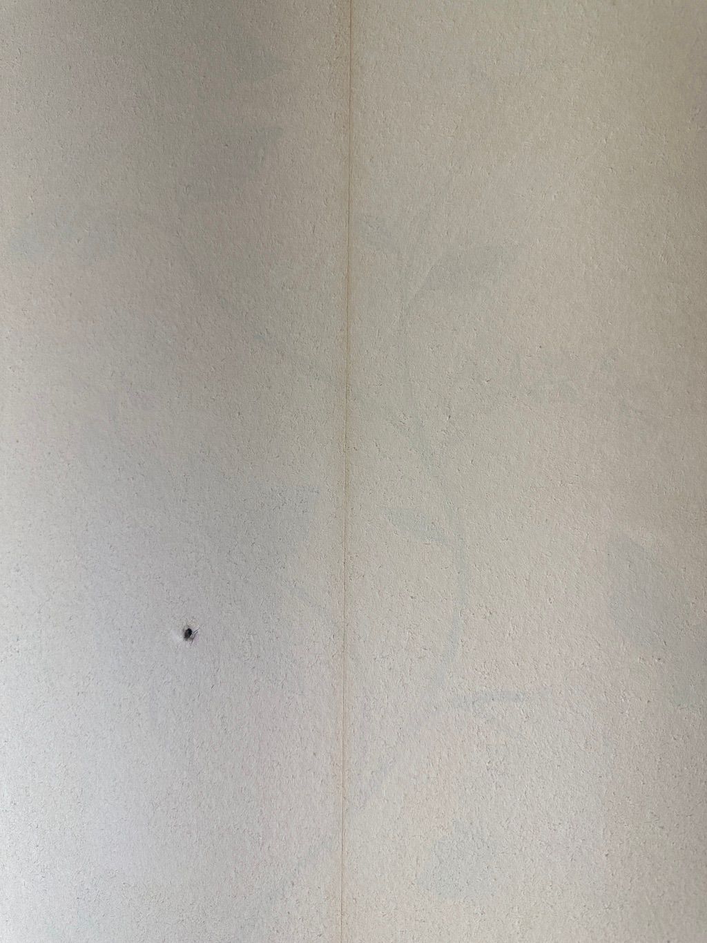 Backing from first layer of wallpaper and can fain
