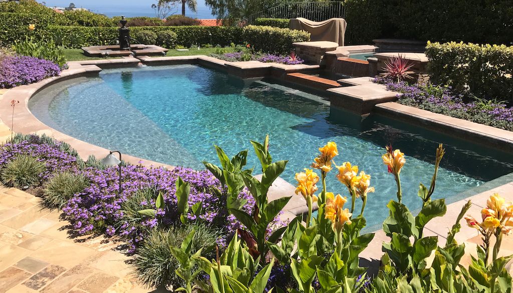 colorful flowers and plants around swimming pool