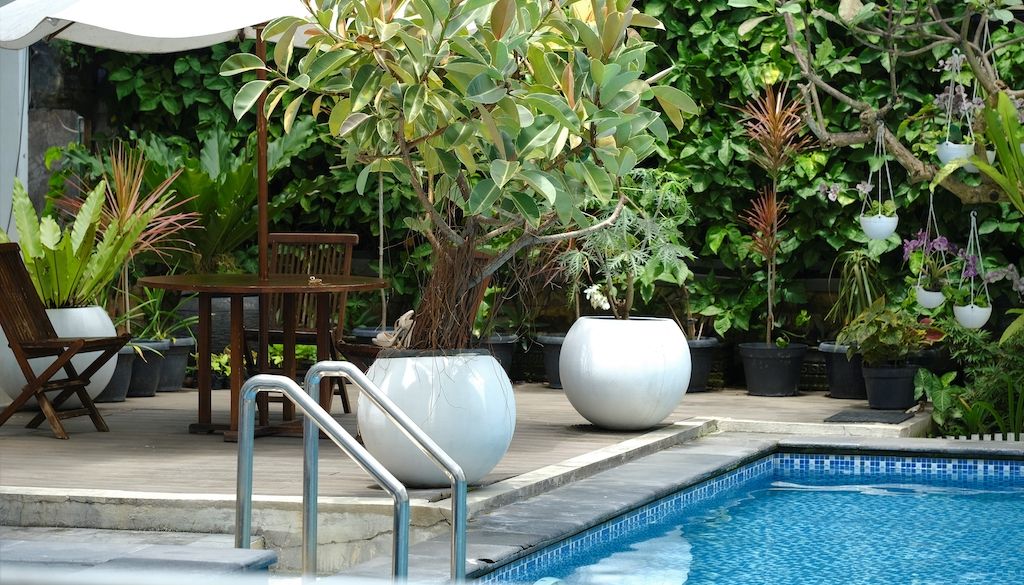 flower pots and containers near swimming pool