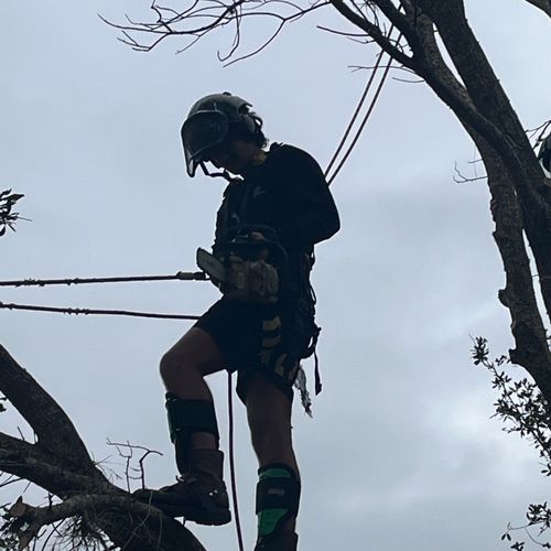 163 LLC Profile Picture