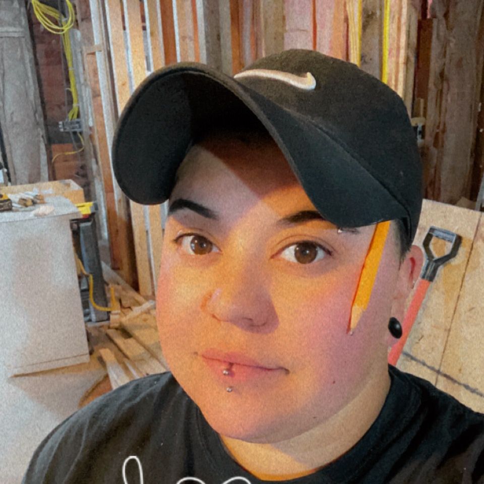 Meneses Painting and Cleaning