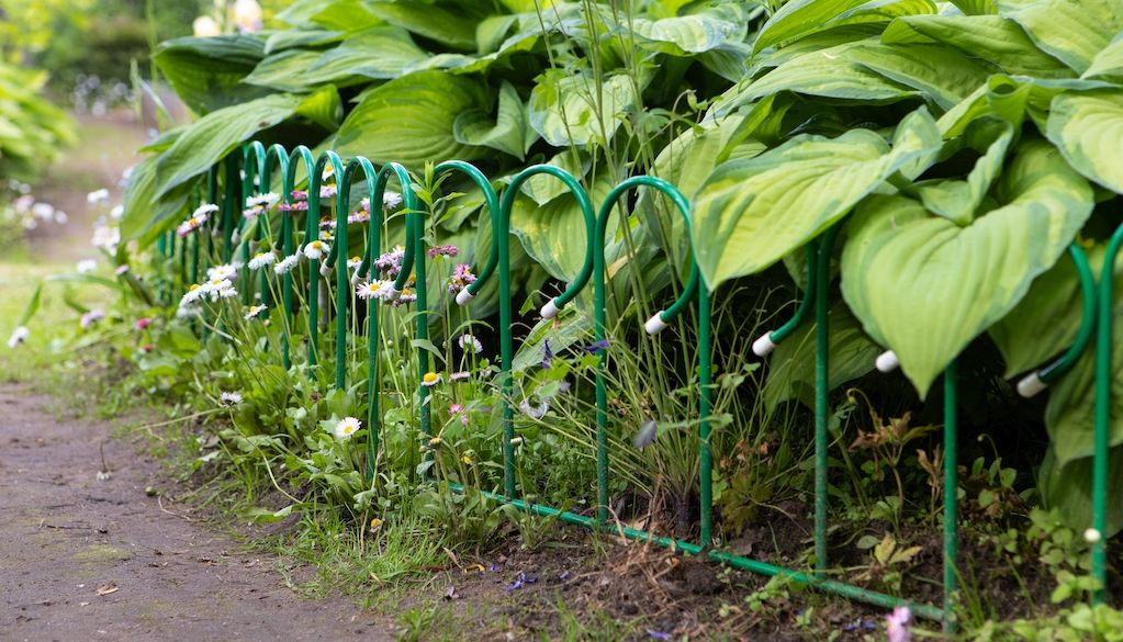 wire fence metal garden edging