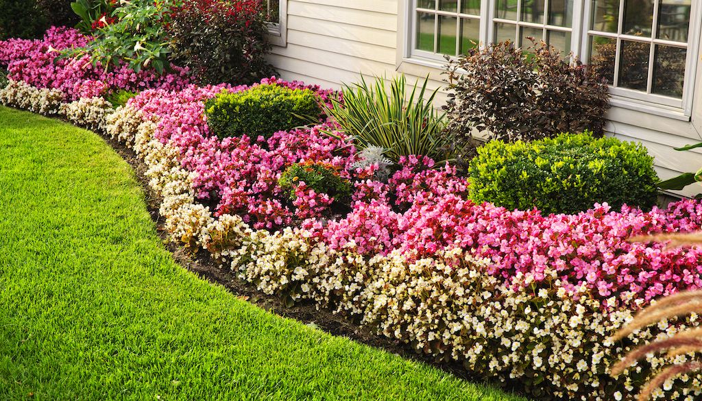 mulch edging around flower bed garden