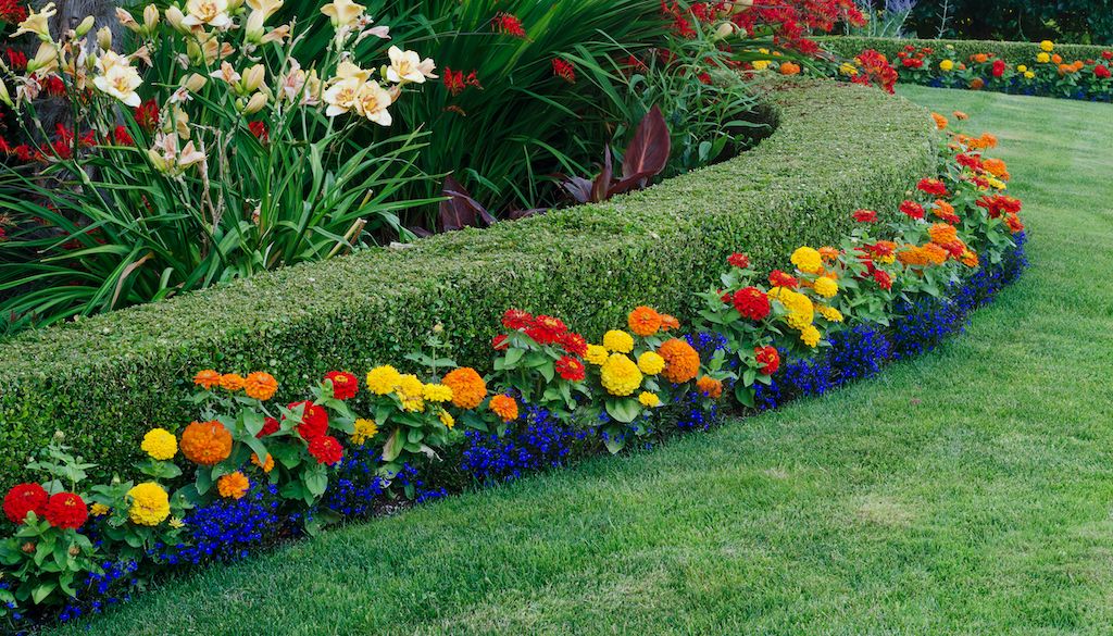 flower edging in yard