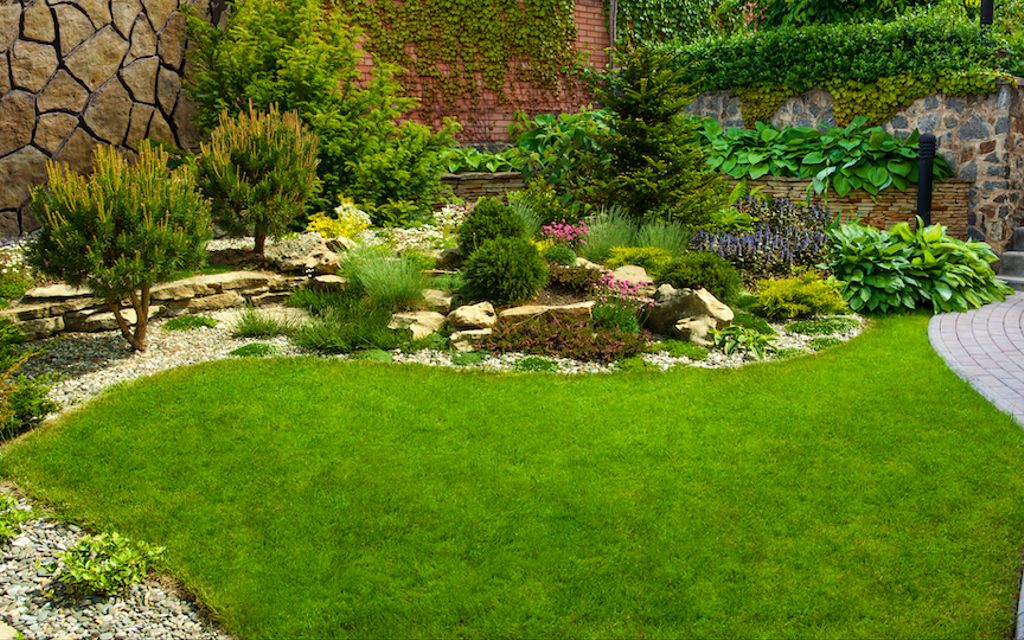 Landscape design 101: A complete guide to landscaping your yard.