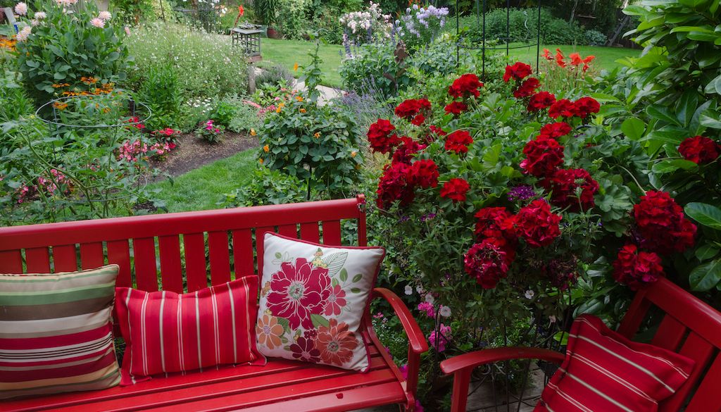 red flower and outdoor furniture in backyard
