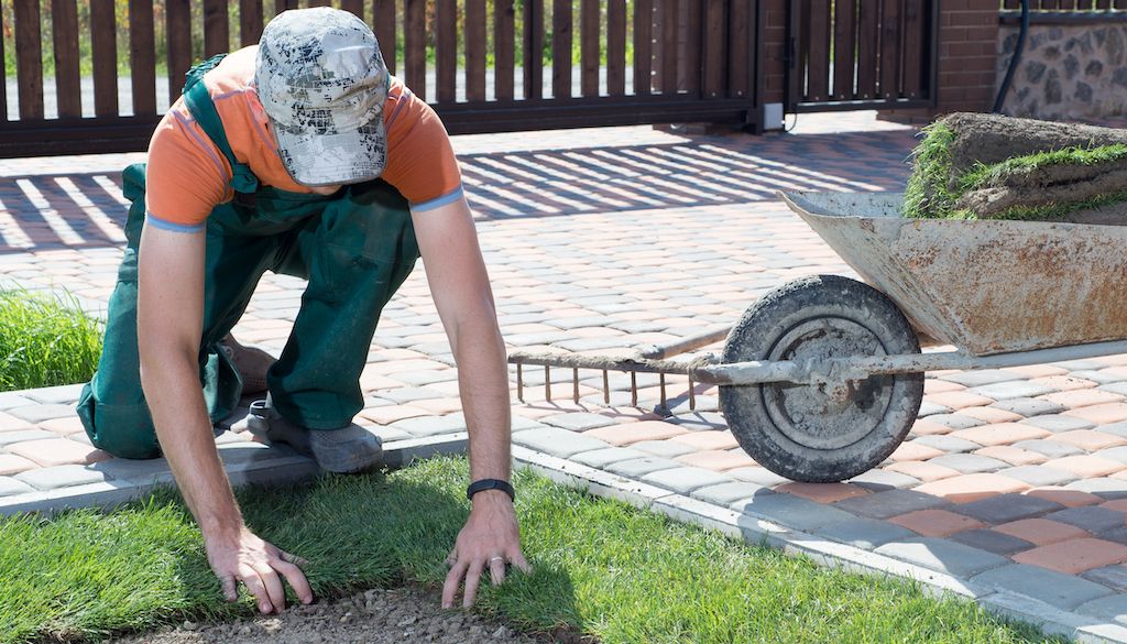 landscaper laying down grass in yard