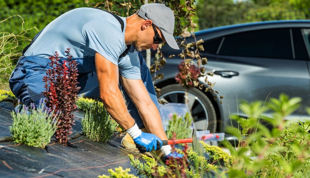 landscaper or gardener installing drip irrigation in front yard of home