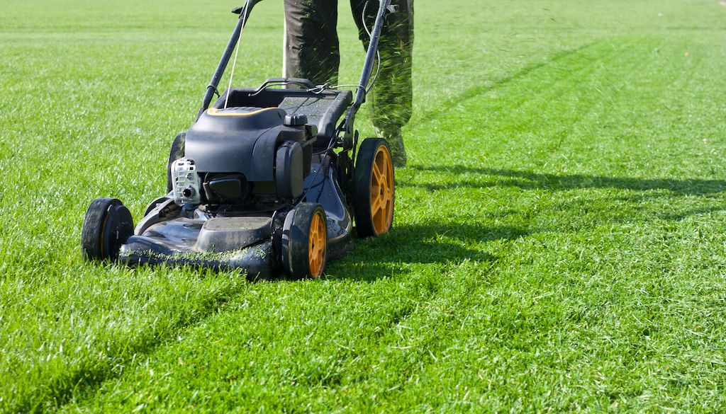 person mowing the lawn