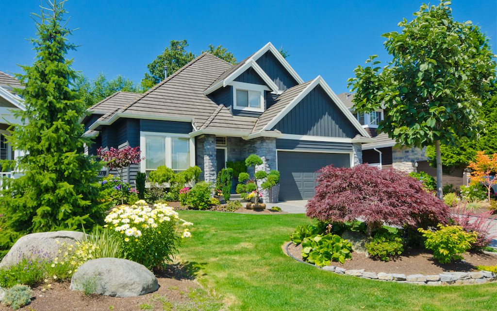 15 landscaping tips and tricks for beginners.