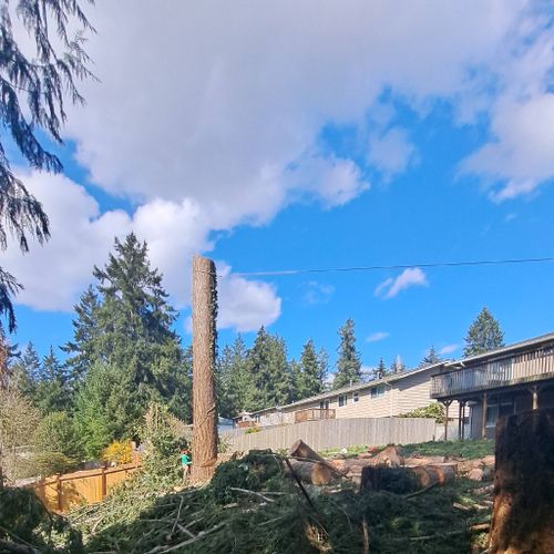 Two Brothers  Tree Services & landscaping