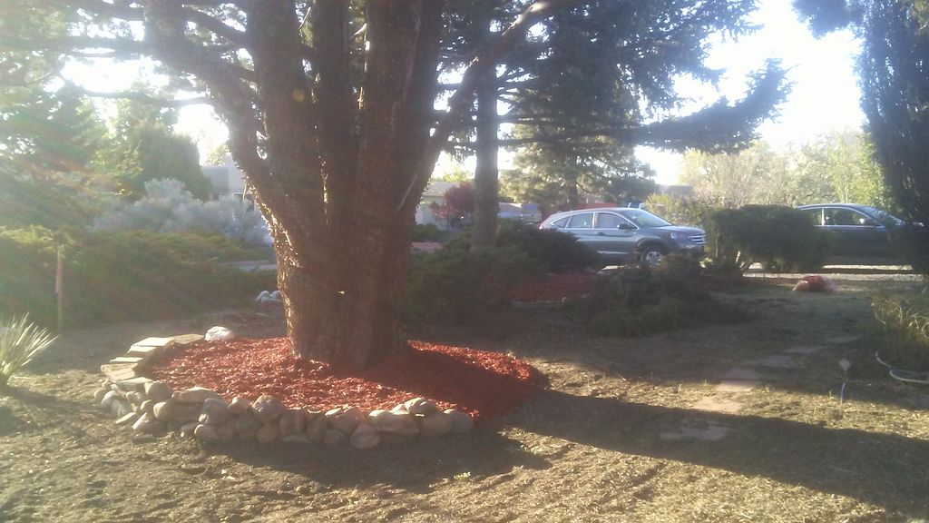 We can lay out your mulch!
